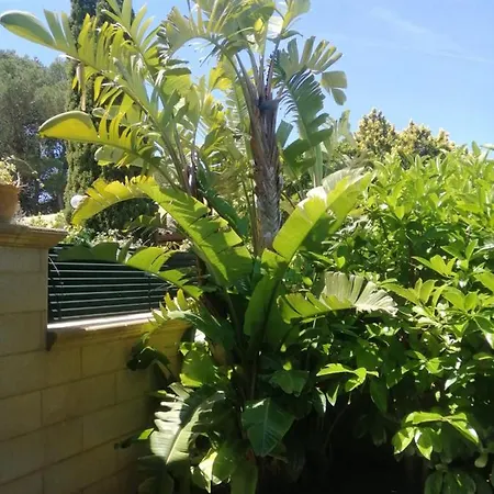 Loretta * Torre dell'Orso